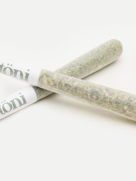 Flavour of the Day Pre-roll AAAA (1 Joint)