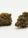 Pink Sherbet(AAAA) – Indica Dominant Hybrid - 7g -
