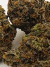 Pink Sherbet(AAAA) – Indica Dominant Hybrid - 7g -