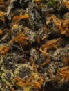 Pink Sherbet(AAAA) – Indica Dominant Hybrid - 7g -
