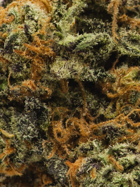 Sophie's Breath (AAA) Sativa - 1oz