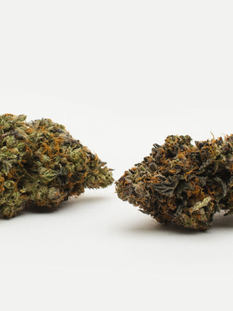 Island Pink (AAAA) – Indica