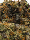 Island Pink (AAAA) – Indica