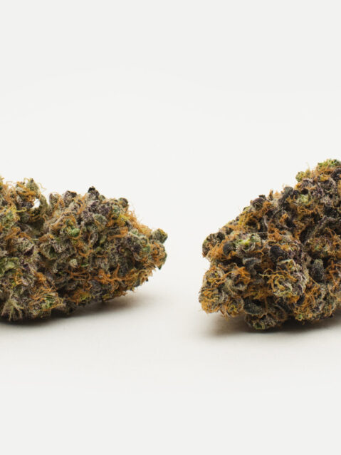Ghost Train Haze (AAAA) – Sativa
