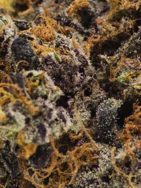 Ghost Train Haze (AAAA) – Sativa