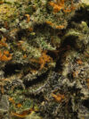 Flava Crystal (AAA) – Indica Dominant Hybrid