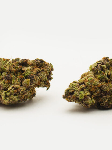 Hash Face (AAA) – Hybrid