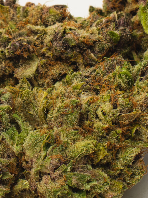 Hash Face (AAA) – Hybrid