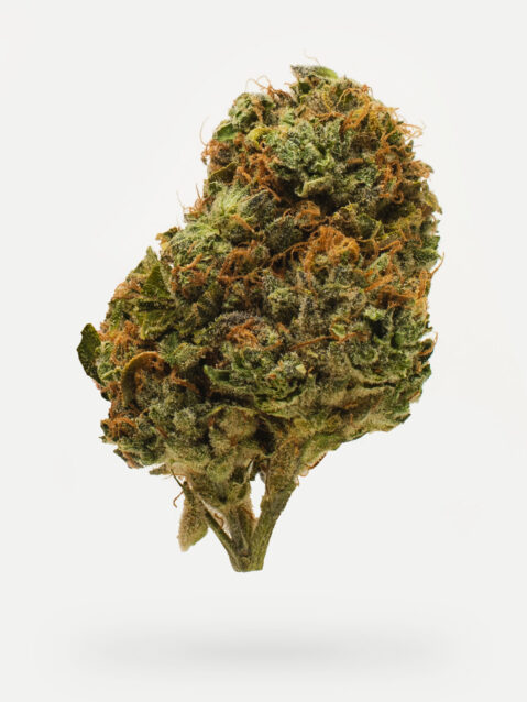 I-95 (AAA) – Hybrid