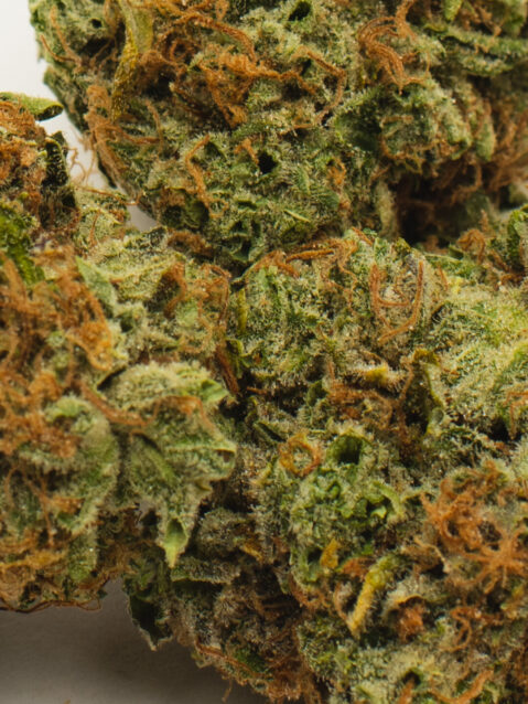 I-95 (AAA) – Hybrid