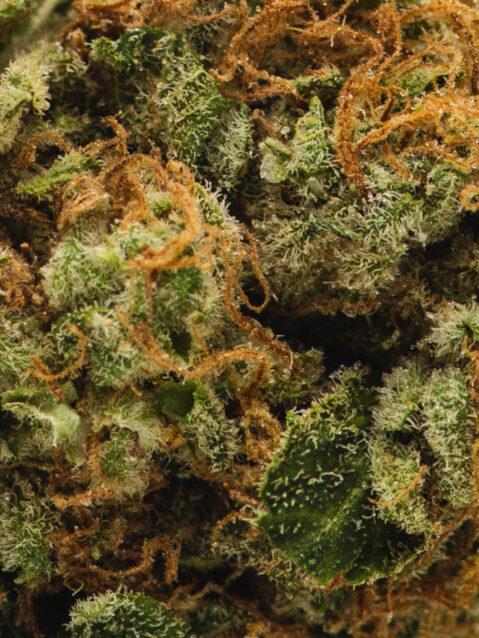 I-95 (AAA) – Hybrid