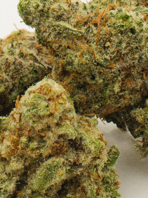 Mac(AAA) – Hybrid - 1oz