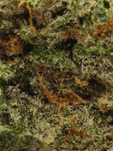 Mac(AAA) – Hybrid - 1oz