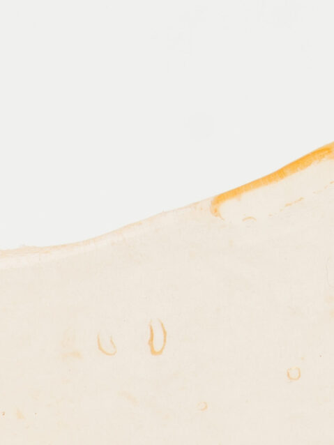 Black Tuna Shatter(1g) - Hybrid