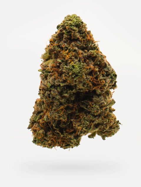 Frosted Cherry Cookies (AAAA) - Indica Dominant Hybrid-