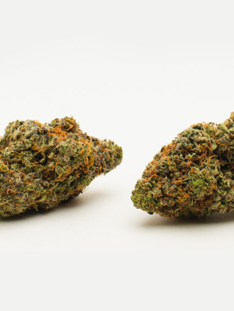 Frosted Cherry Cookies (AAAA) - Indica Dominant Hybrid-