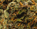 Frosted Cherry Cookies (AAAA) - Indica Dominant Hybrid-
