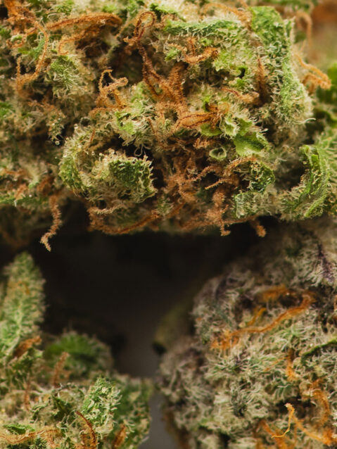 Zombie Breath(AAA) – Hybrid - 1oz