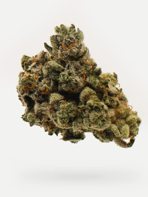 Geisel Cookies(AAA) – Indica - 1oz