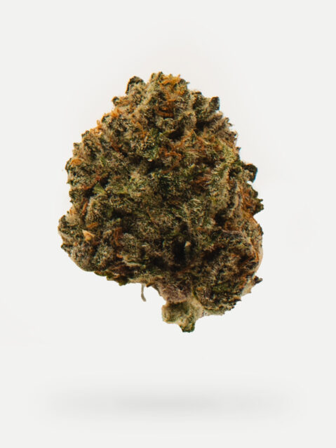 Forum Cut Cookies (AAA) – Hybrid - 1oz