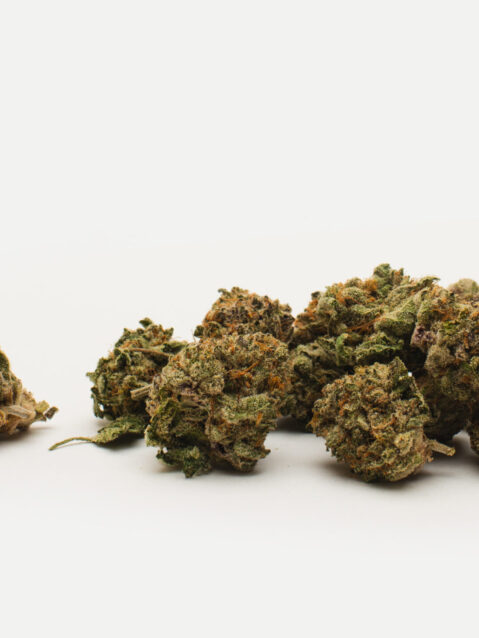 Forum Cut Cookies (AAA) – Hybrid - 1oz