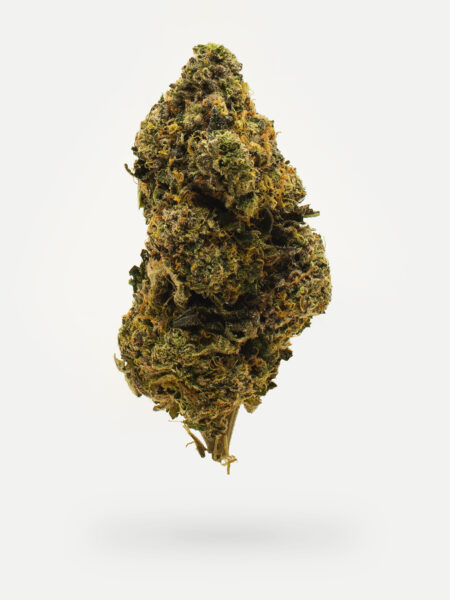 Cereal Milk(AAAA) –  Hybrid -