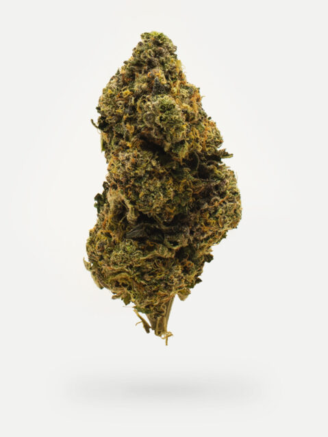 Gucci Pink(AAAA) –  Hybrid -