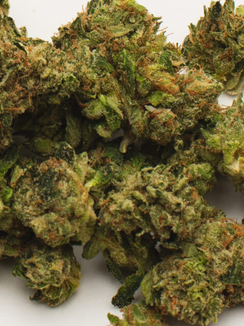 Kush Mints(AAA) – Balanced Hybrid - 1o