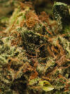 Kush Mints(AAA) – Balanced Hybrid - 1o