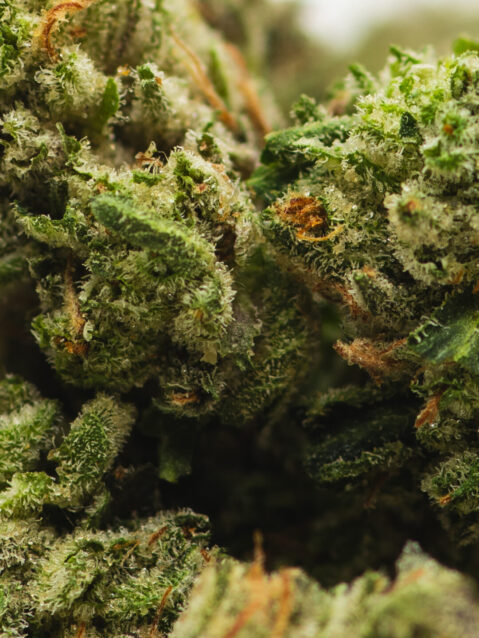 Pink Bubba (AAA) – Indica- 1oz