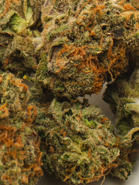 Frosted Cherry(AAA) – Hybrid - 1oz