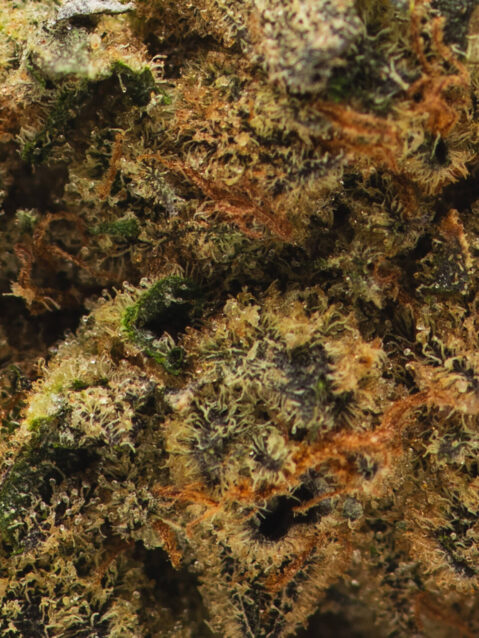 Grape Stank (AAA) – Hybrid - 1oz