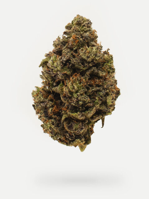 White Truffle (AAA) – Hybrid Indica Dominant