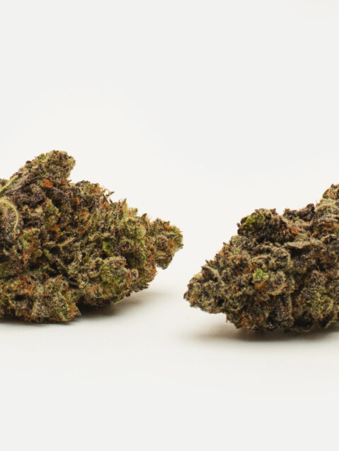 White Truffle (AAA) – Hybrid Indica Dominant