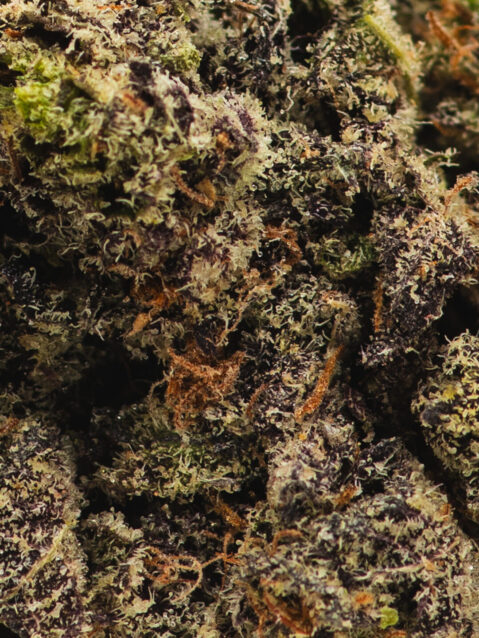 White Truffle (AAA) – Hybrid Indica Dominant