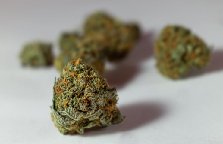 Burnabys Premium Kush