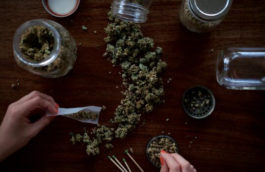 Exploring Vancouvers Finest Indica Strains