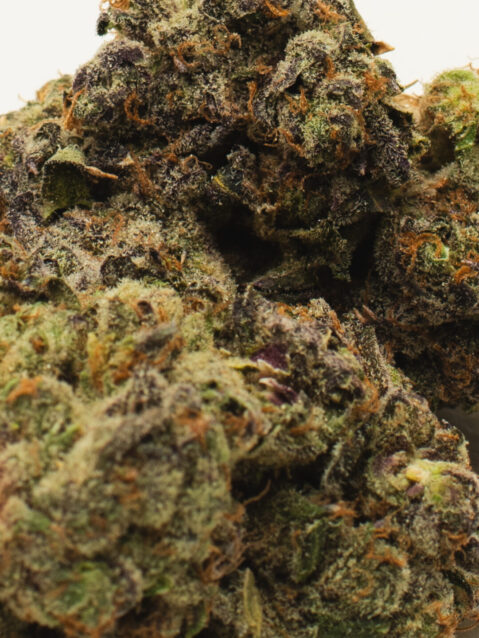 Apple Sundae(AAAA) - Hybrid -7g