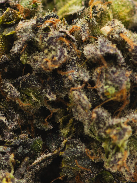 Garlic Reaper(AAAA) - Indica Dominant Hybrid -7g-