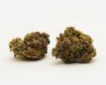 Sherb Crasher(AAAA) - Hybrid -7g