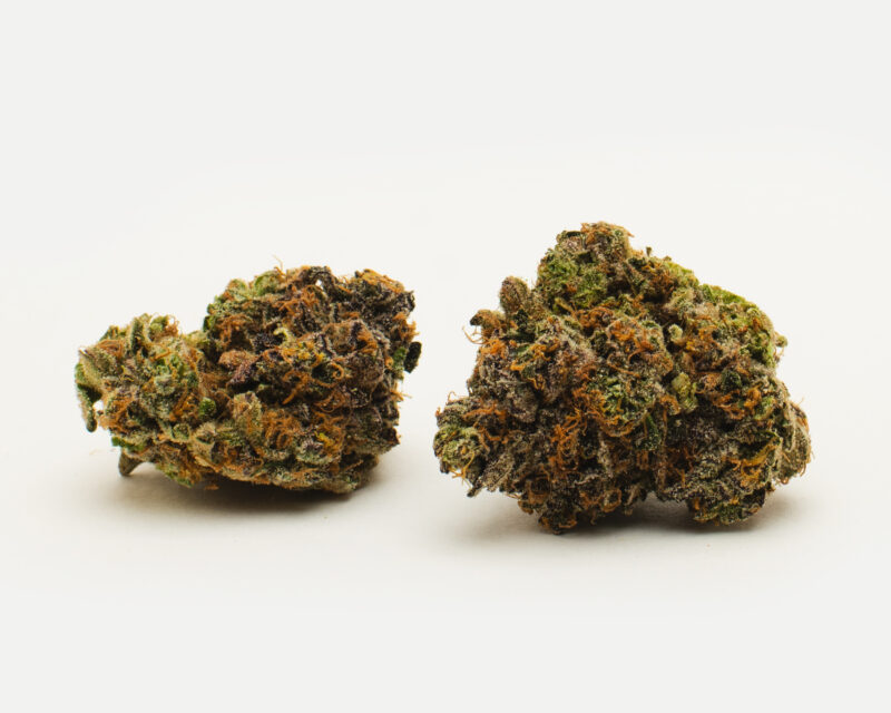 Sherb Crasher(AAAA) - Hybrid -7g