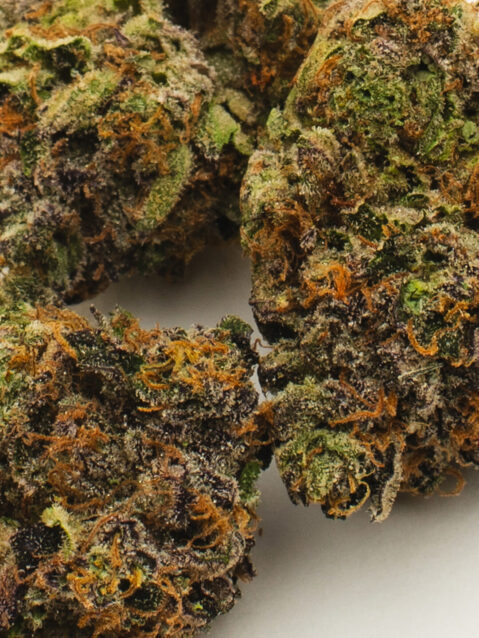 Sherb Crasher(AAAA) - Hybrid -7g