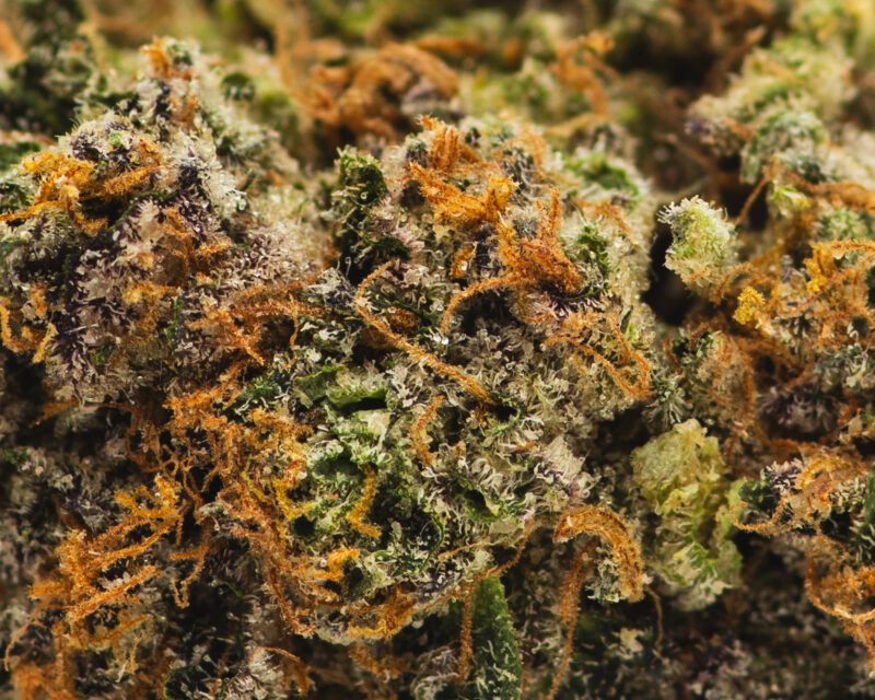 Sherb Crasher(AAAA) - Hybrid -7g
