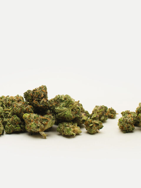 Chocolope(AAA) – Sativa - 1oz