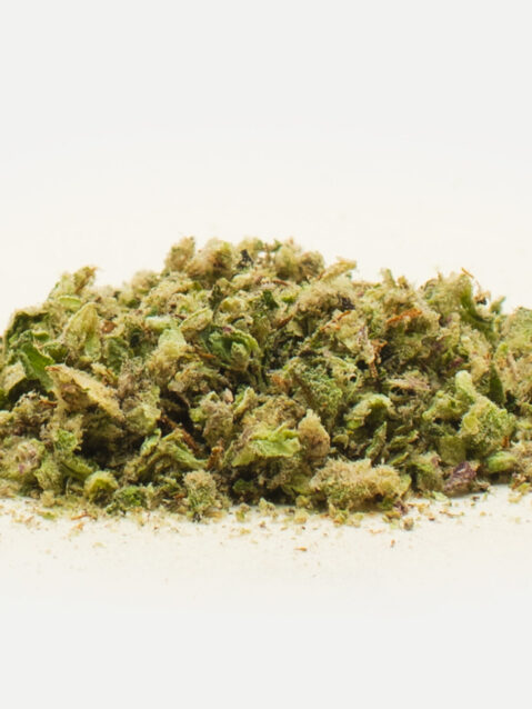 Chocolope(AAA) – Sativa - 1oz