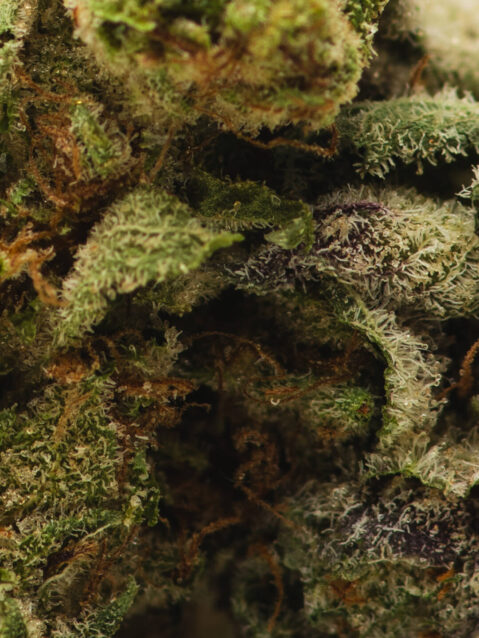 Diesel Cake(AAA) – Hybrid - 1oz