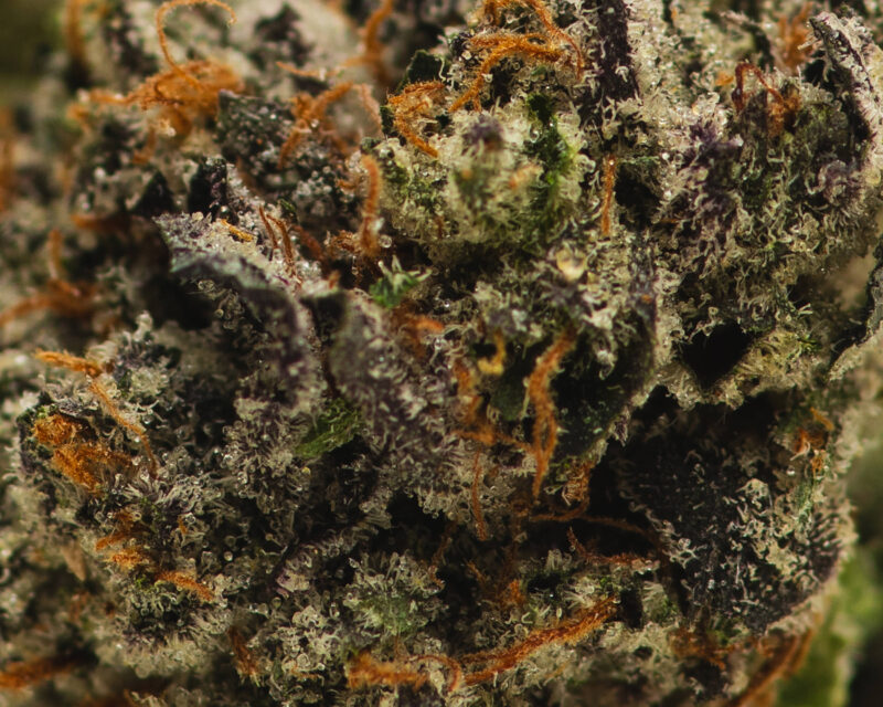 Pink Mango(AAA) – Hybrid - 1oz