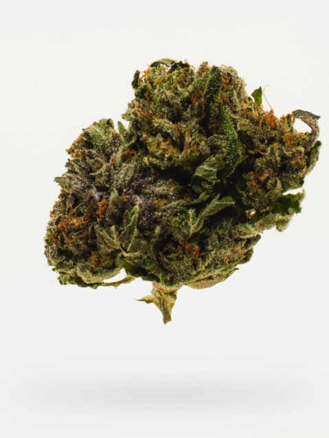 Rockstar (AAA) – Indica- 1oz