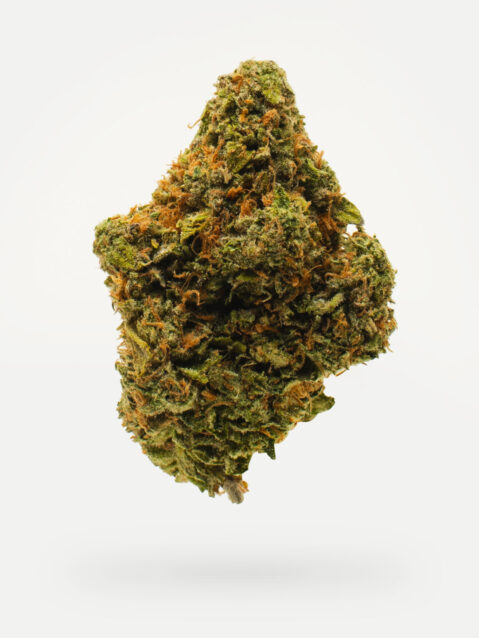 Tropicana Cookies(AAA) - Sativa Dominant Hybrid