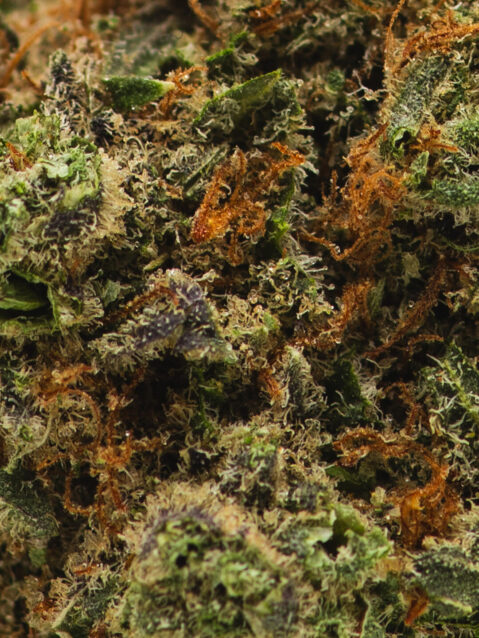 Pineapple Haze (AAA) - Sativa Dominant Hybrid